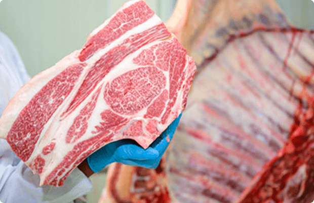 和牛のブロックをもつ作業員の腕